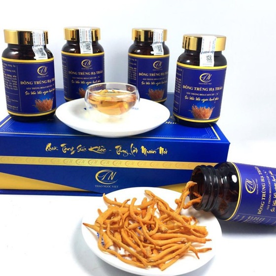 Đông trùng hạ thảo Thảo Ngọc Việt