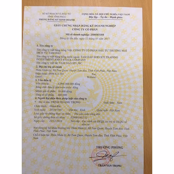 Trà hoa vàng Tam Đảo