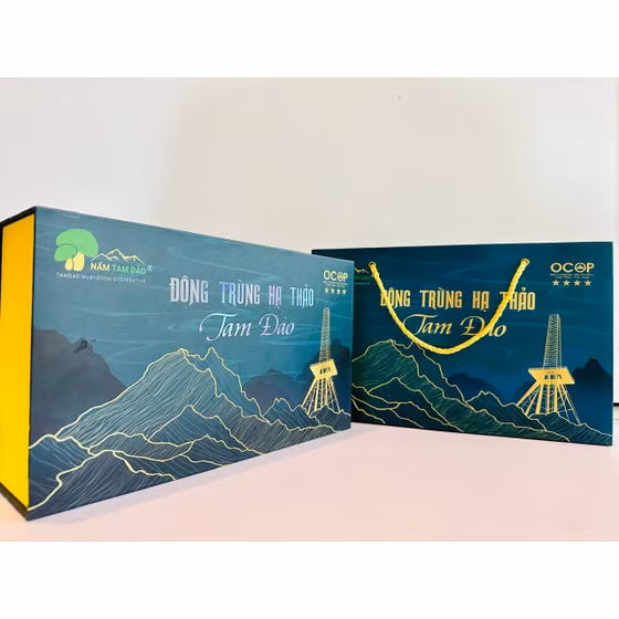 Đông trùng hạ thảo Tam Đảo sấy thăng hoa