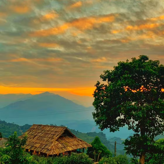 Không gian văn hóa trà Suối Giàng