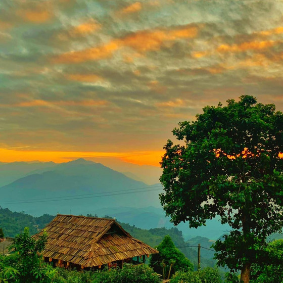 Không gian văn hóa trà Suối Giàng