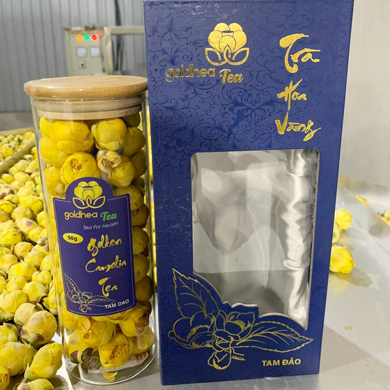 Trà hoa vàng Tam Đảo