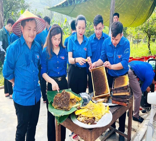 Mật ong rú Cao Sơn