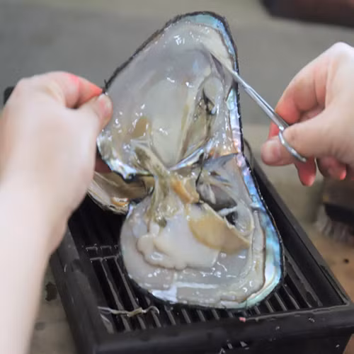 Ngọc trai Thành Quỳnh Giang