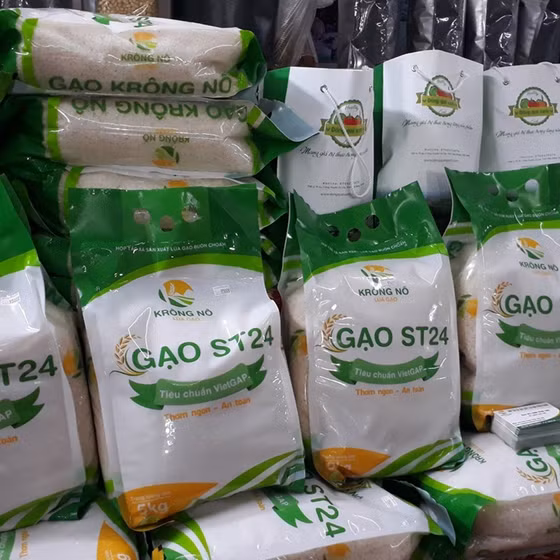 Gạo ST24 Krông Nô