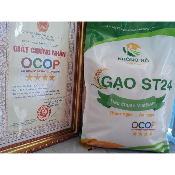 Gạo ST24 Krông Nô