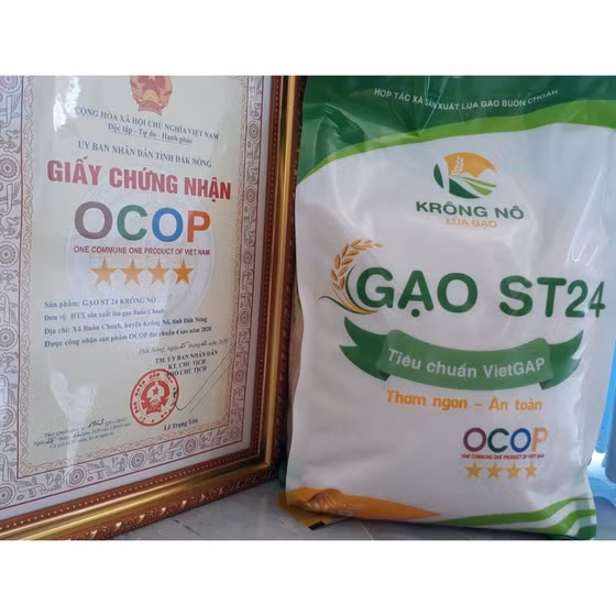 Gạo ST24 Krông Nô