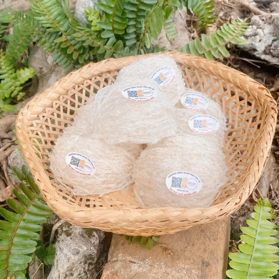 Bộ sản phẩm Yến sào Hồ Gia Hưng 