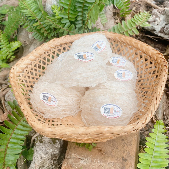 Bộ sản phẩm Yến sào Hồ Gia Hưng 