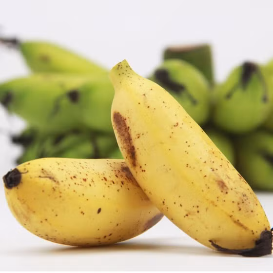 Chuối ngự Đại Hoàng