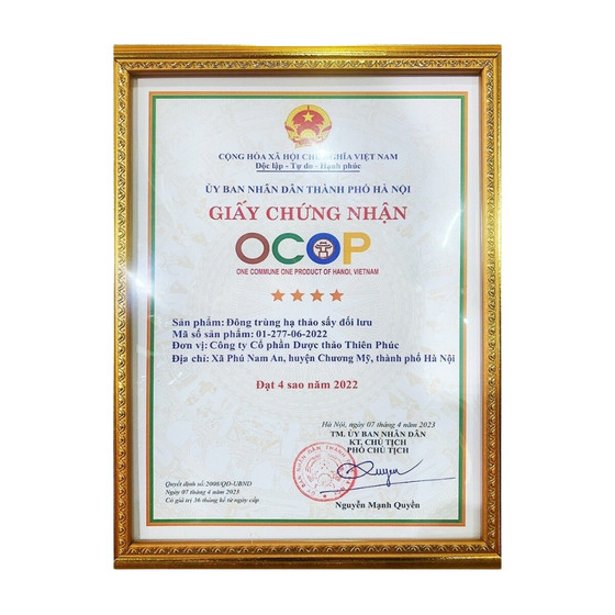 Đông trùng hạ thảo Thiên Phúc