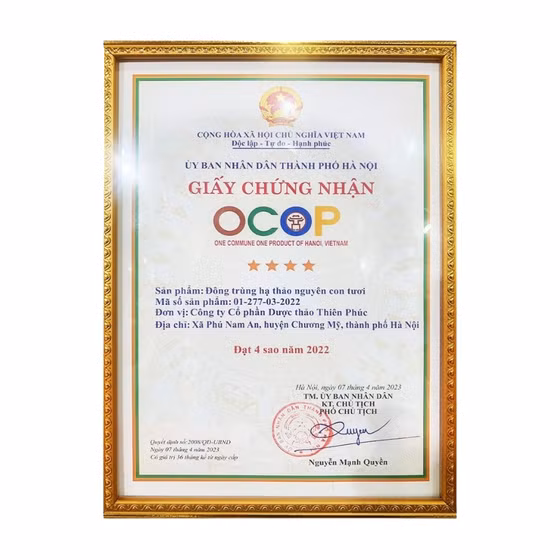 Đông trùng hạ thảo Thiên Phúc