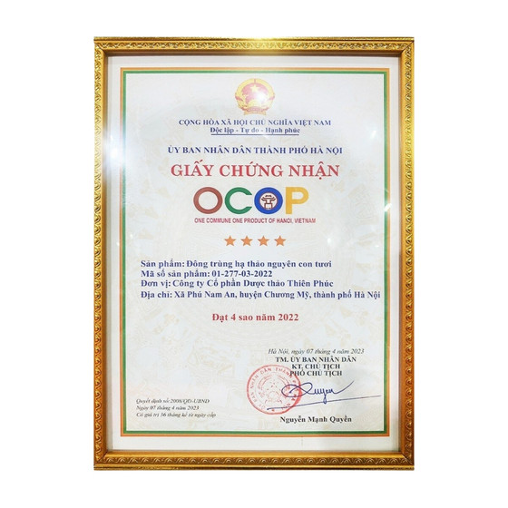 Đông trùng hạ thảo Thiên Phúc