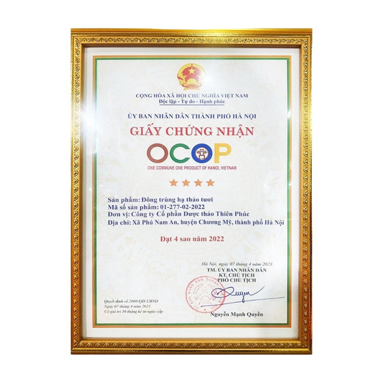 Đông trùng hạ thảo Thiên Phúc