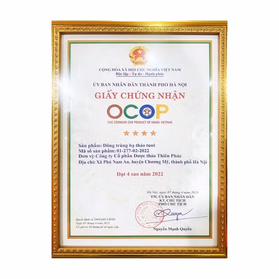 Đông trùng hạ thảo Thiên Phúc