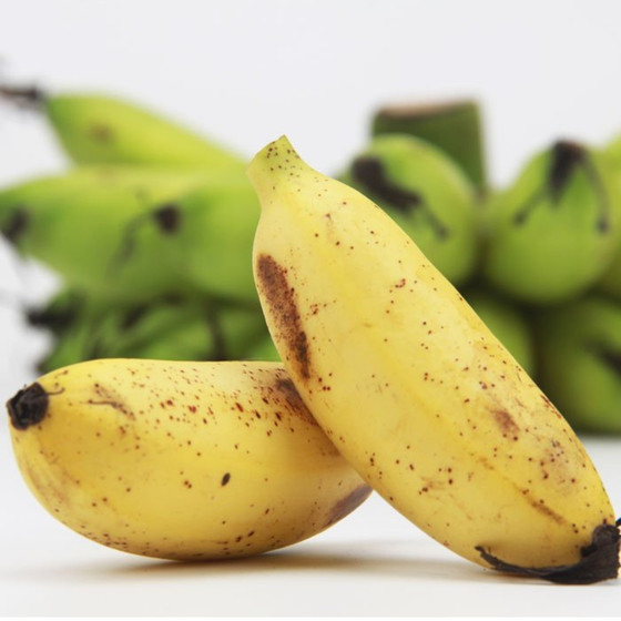 Chuối ngự Đại Hoàng