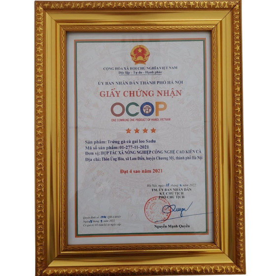 Trứng gà cà gai leo SADU