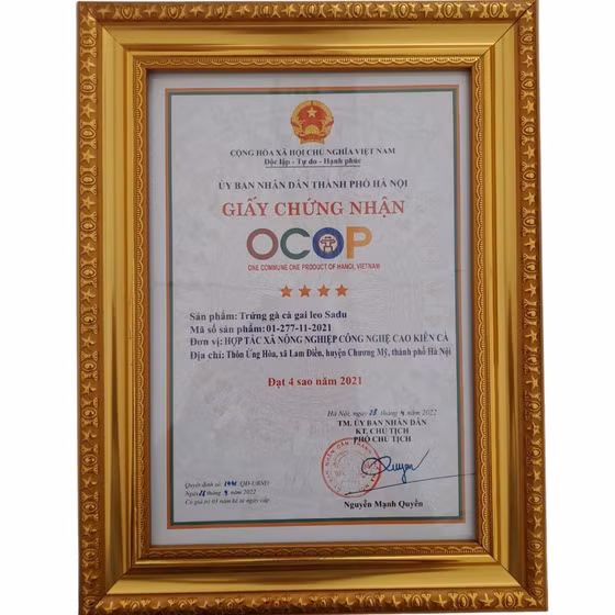 Trứng gà cà gai leo SADU