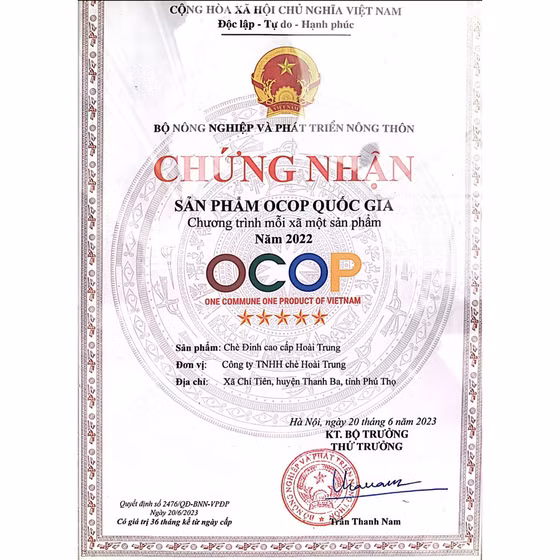 Chè Đinh cao cấp Hoài Trung