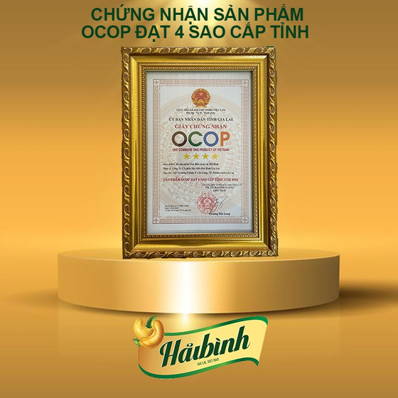 Bộ sản phẩm hạt điều rang củi Hải Bình