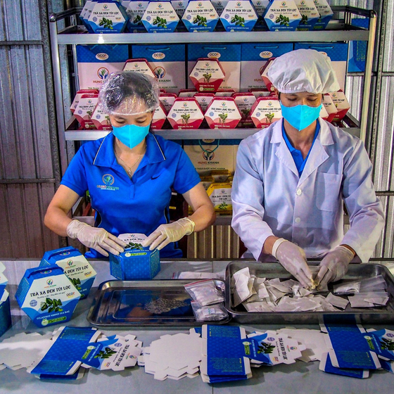 Trà xạ đen túi lọc Hùng Khánh