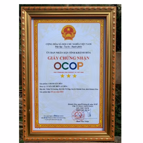 Chuối sấy dẻo An Hòa 