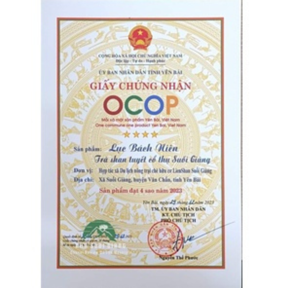 Trà Lục Bách Niên 