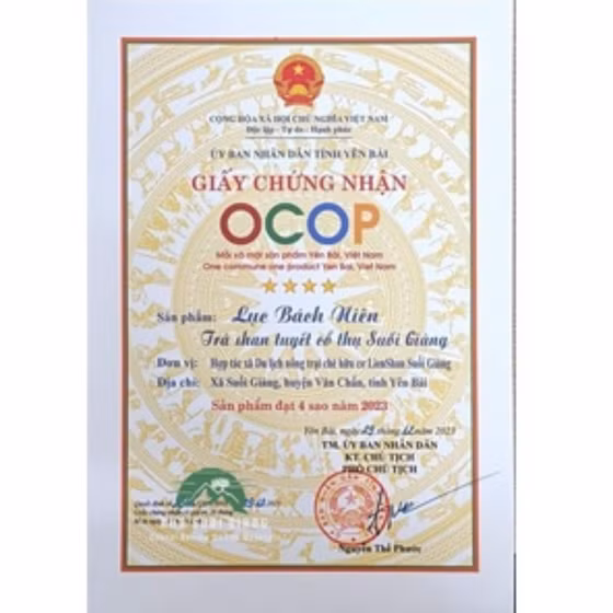 Trà Lục Bách Niên 