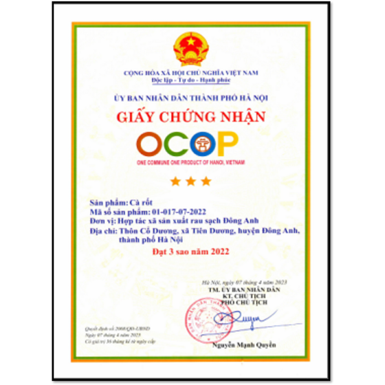 Cà rốt sạch Đông Anh