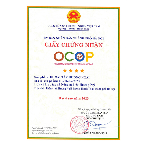 Khoai tây Hương Ngải