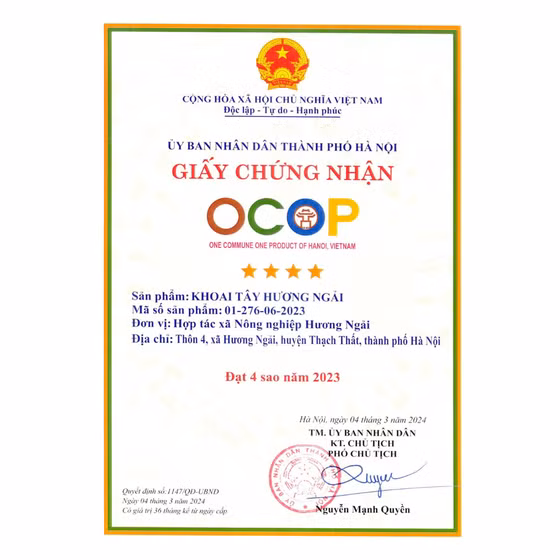 Khoai tây Hương Ngải