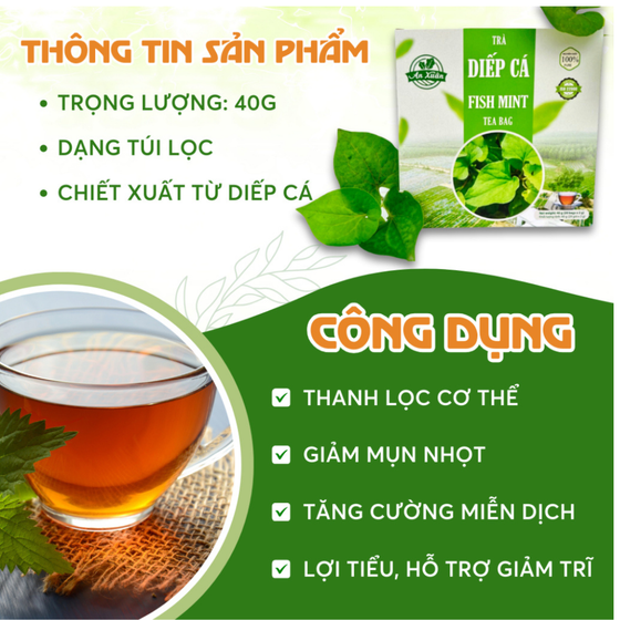 Trà túi lọc diếp cá