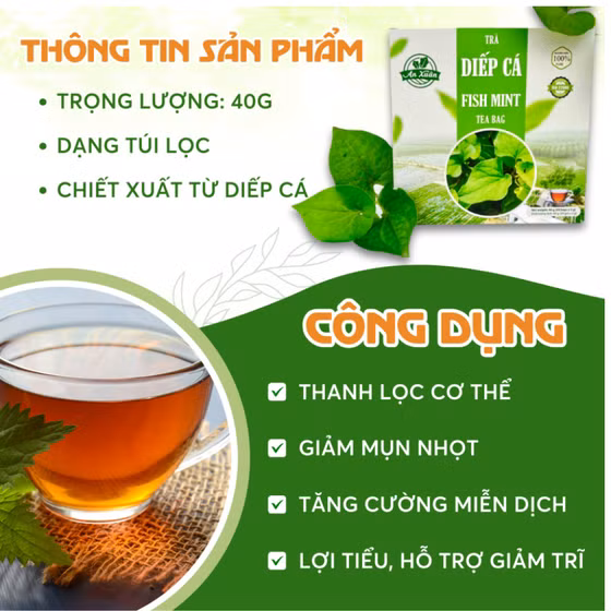 Trà túi lọc diếp cá
