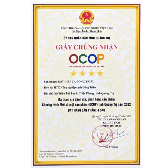 Bột diếp cá Đông Triều