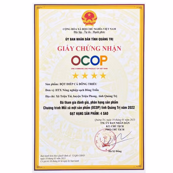 Bột diếp cá Đông Triều