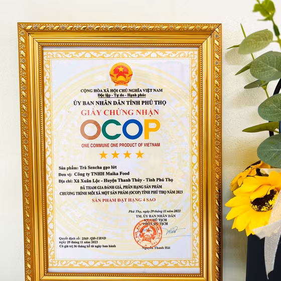 Trà Sencha gạo lứt