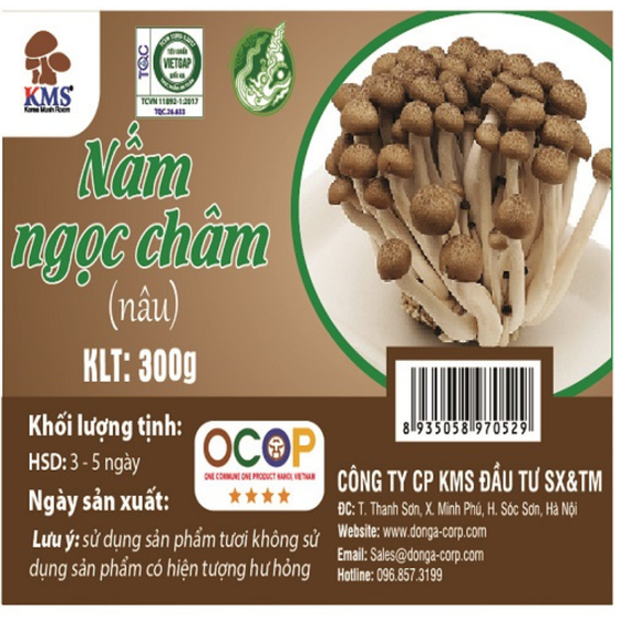 Nấm ngọc châm nâu KMS