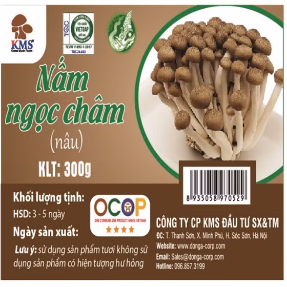 Nấm ngọc châm nâu KMS