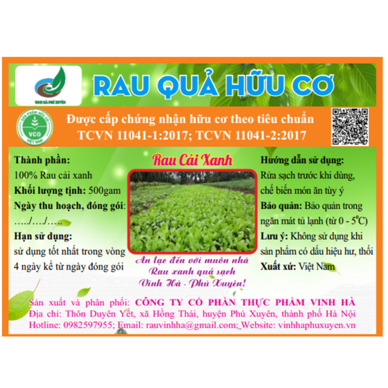 Rau cải xanh hữu cơ Vinh Hà