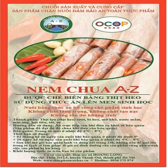 Nem chua A-Z