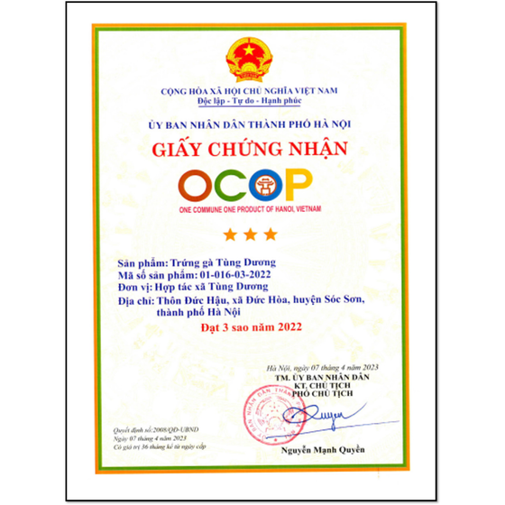 Trứng gà Tùng Dương 