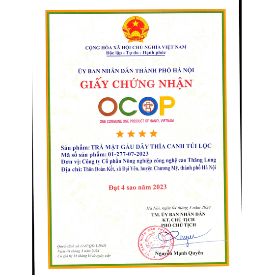 Trà mật gấu dây thìa canh túi lọc