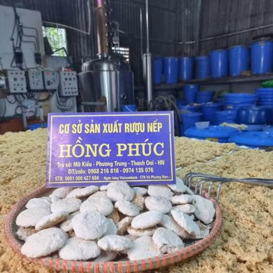 Rượu nếp cái hoa vàng Hồng Phúc