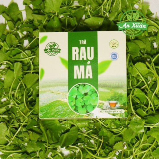 Trà túi lọc rau má