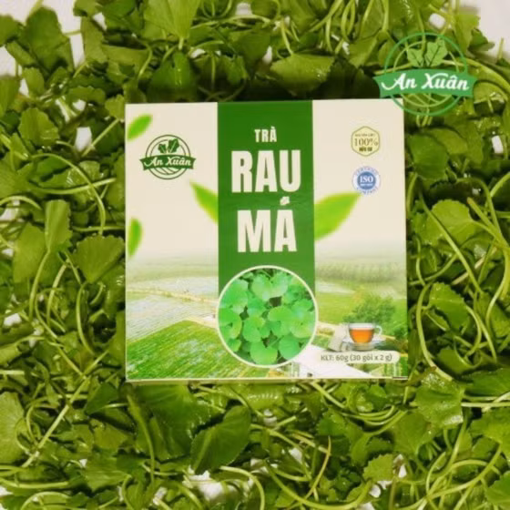 Trà túi lọc rau má