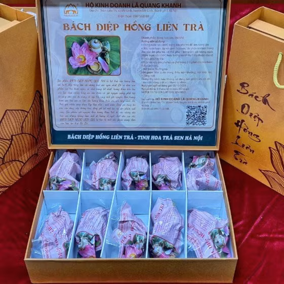 Bách diệp hồng liên trà