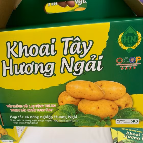 Khoai tây Hương Ngải
