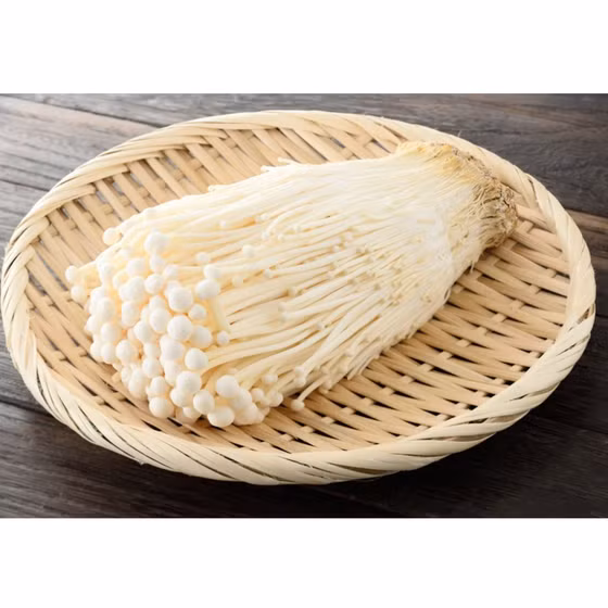 Nấm kim châm Kinoko