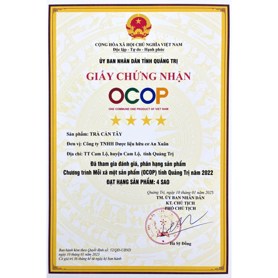 Trà túi lọc cần tây