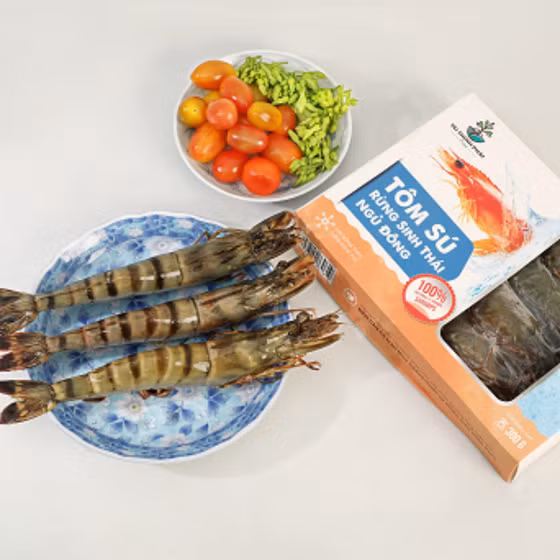 Tôm sú rừng sinh thái ngủ đông